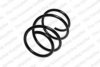 ROC CS4842 Coil Spring